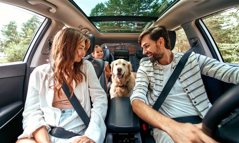 Family inside vehicle