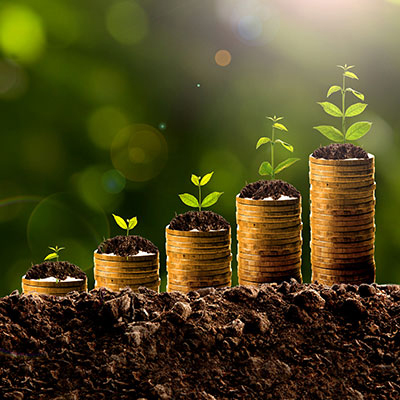Plants on stacked coinss