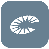 Mobile App Icon